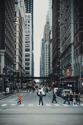 city people crossing on gray asphalt road in the city during daytime road