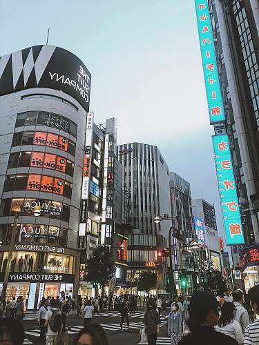 city people walking on street beside buildings metropolis