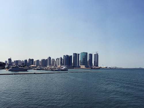 city photography of high-rise building beside seashore during daytime metropolis