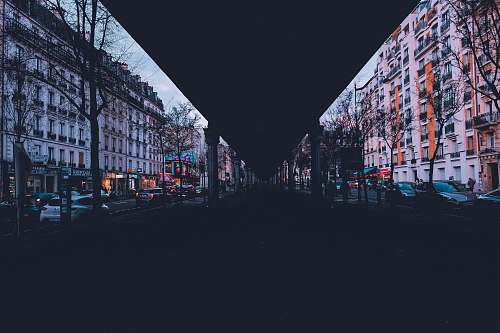 city road between bare trees road
