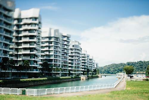 condo white buildings housing