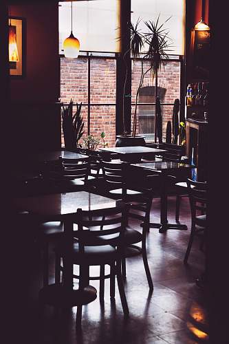 furniture cafe interior seattle