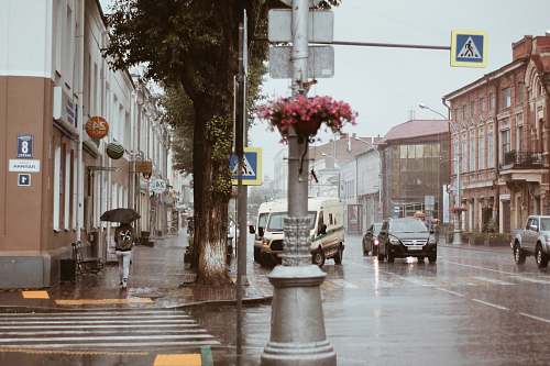 human  pedestrian