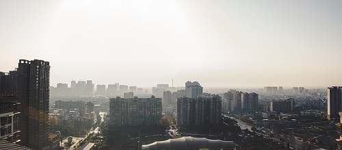 building city during daytime nature
