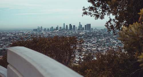 building city scape photo at daytime urban