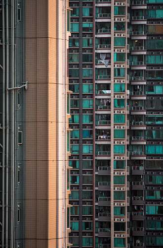 town green and brown building high rise