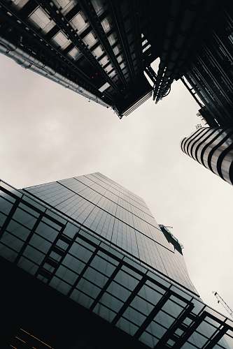 building low-angle grayscale photography of curtain wall buildings office building