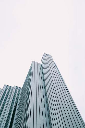building low-angle photography of curtain wall building office building