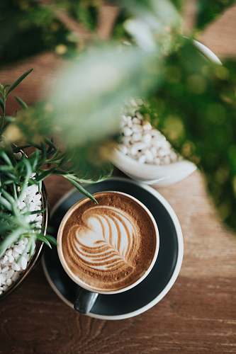 cup white and black ceramic coffee cup on white saucer plant