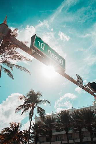 light  summer