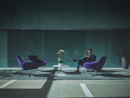 human man sitting on purple cushion armchair person
