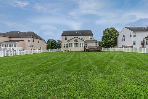 plant three 2-storey houses with fences and grass field lawn
