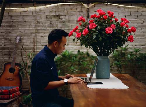 person man sitting on chair using laptop plant