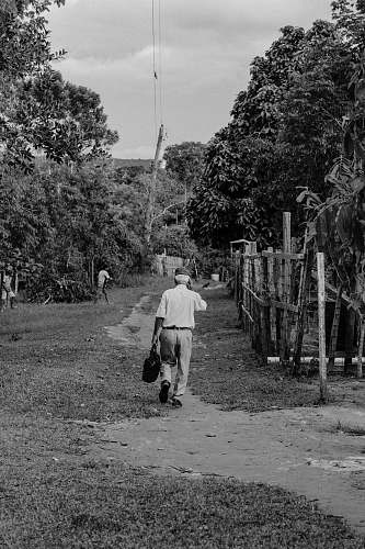 nature man walking beside fence near trees black-and-white