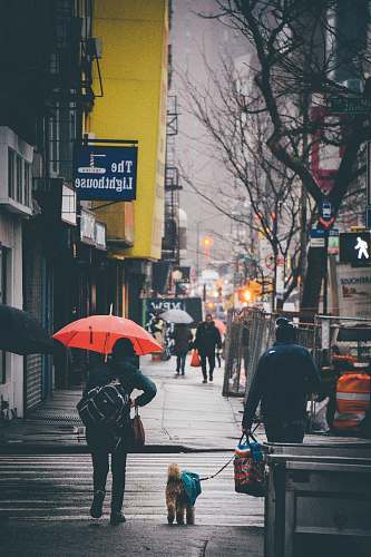person people walking on street beside high rise buildings pedestrian