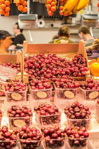 person red berries in plastic boxes plant