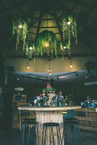 room round brown wooden table surrounded by black stools under green leafed-themed pendant lamps lighting