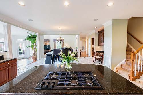 room white-petaled flowers in vase flooring