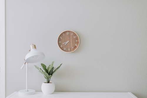 plant white desk lamp beside green plant art