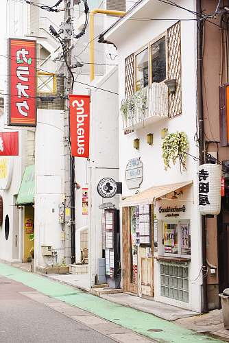 plant red Supreme brand logo flag in front of white building flora