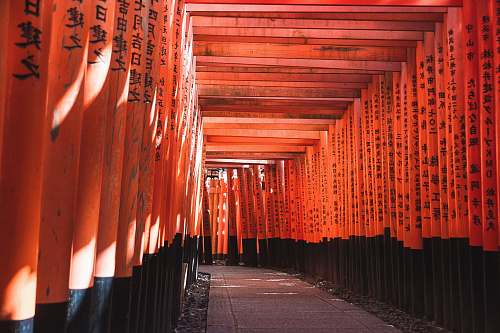 japan orange and black wooden hall torii