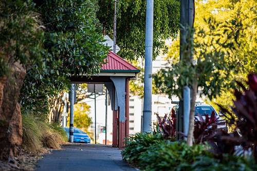 arbour car passing near booth under tree garden