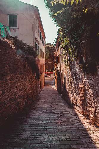 walkway pathway near houses street