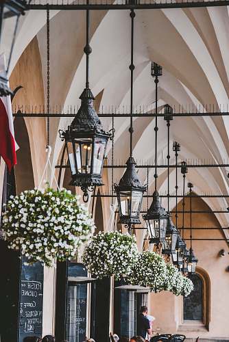 human black pendant lamps plant