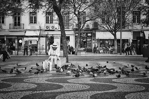 black-and-white person sitting near tree on part watching bird in grayscale photo people