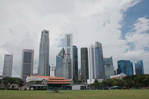 building cityscape photography grass