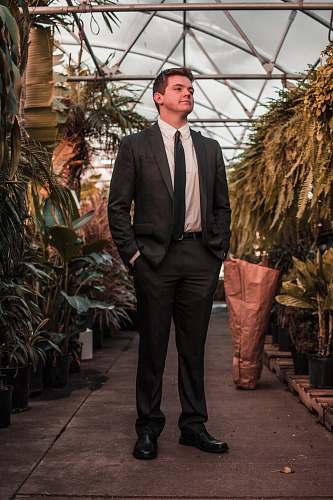 suit man wearing suit jacket standing between the plants human