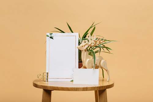 plant male deer buck 3D table decor beside empty photo frame on table vietnam