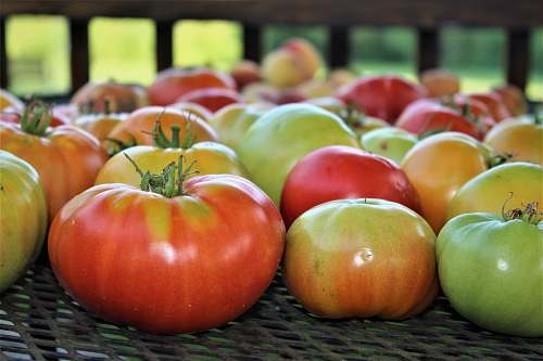 food pile of tomatoes fruit