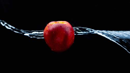 fruit red apple fruit plant
