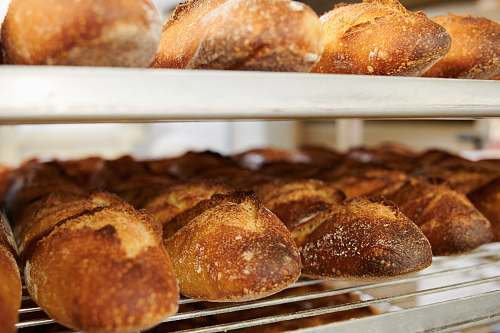 food baked breads bun