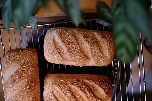 food pastry breads bun