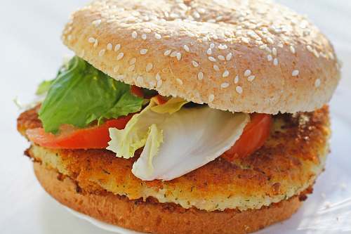 food burger patty with vegetable bread