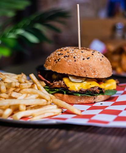 food shallow focus photography hamburger on plate fries