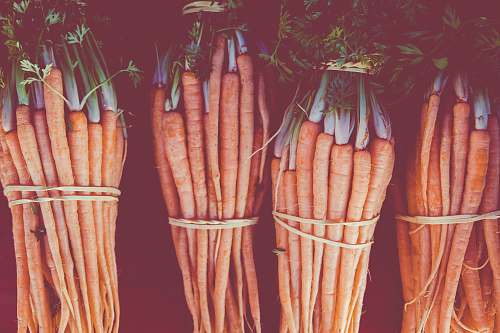 vegetable carrot lot with ropes food