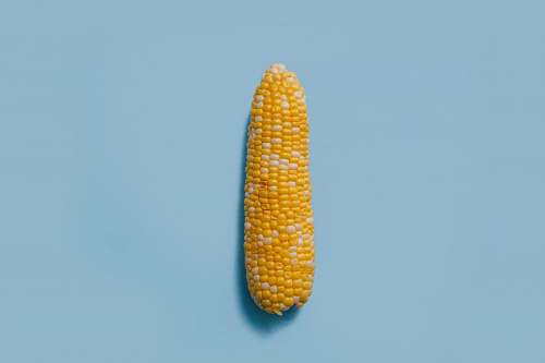 food corn on teal surface vegetable