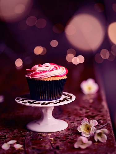 cake cupcake on rack cupcake