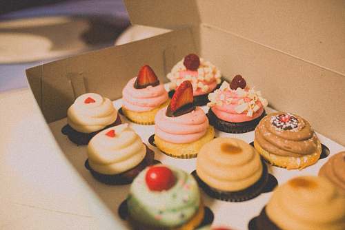 dessert shallow focus photo of cupcakes cake
