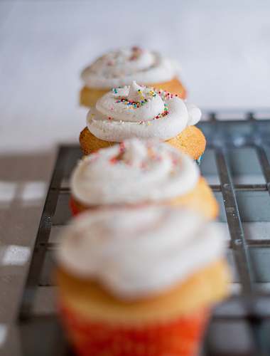 icing baked cupcakes creme