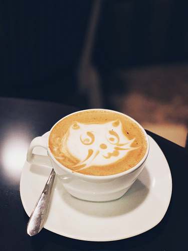 latte white ceramic teacup with latte art beverage
