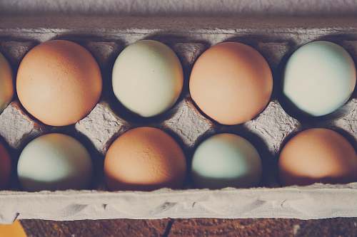 food white and brown egg on gray tray grey
