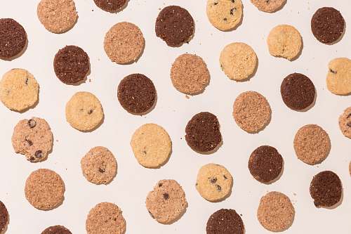 cookie  biscuit