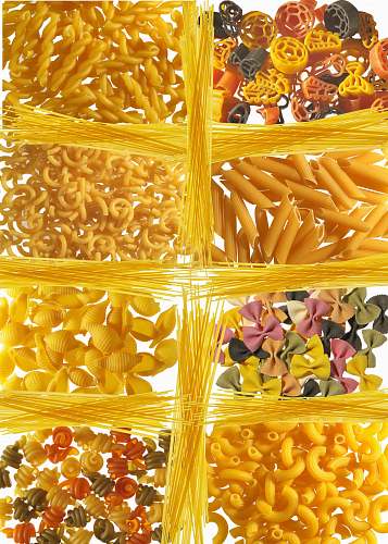 pasta  macaroni
