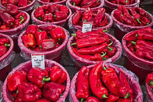 pepper  vegetable