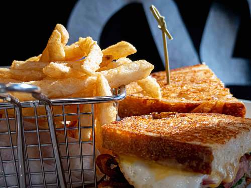 sandwich  fries