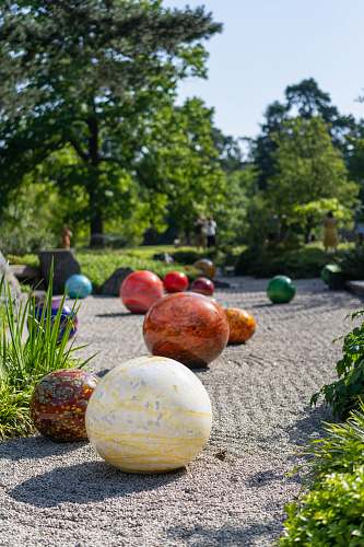 sphere assorted-color balls on grey ground near trees egg